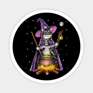 Cat Witch Magnet
